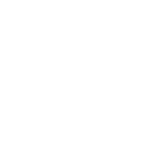bsky icon