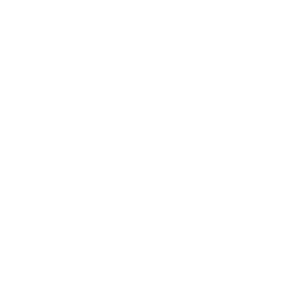 vgen icon